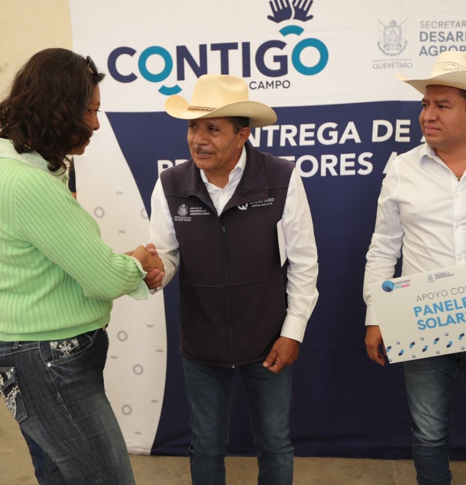 71 273 45977 551357329 SEDEA Dinamismo Corregidora y Huimilpan 5 11 2024