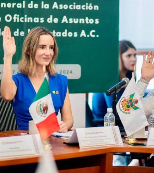 71 273 46023 814806047 11 7 RepresentacionCDMX Consejo AMAIE 2(1)