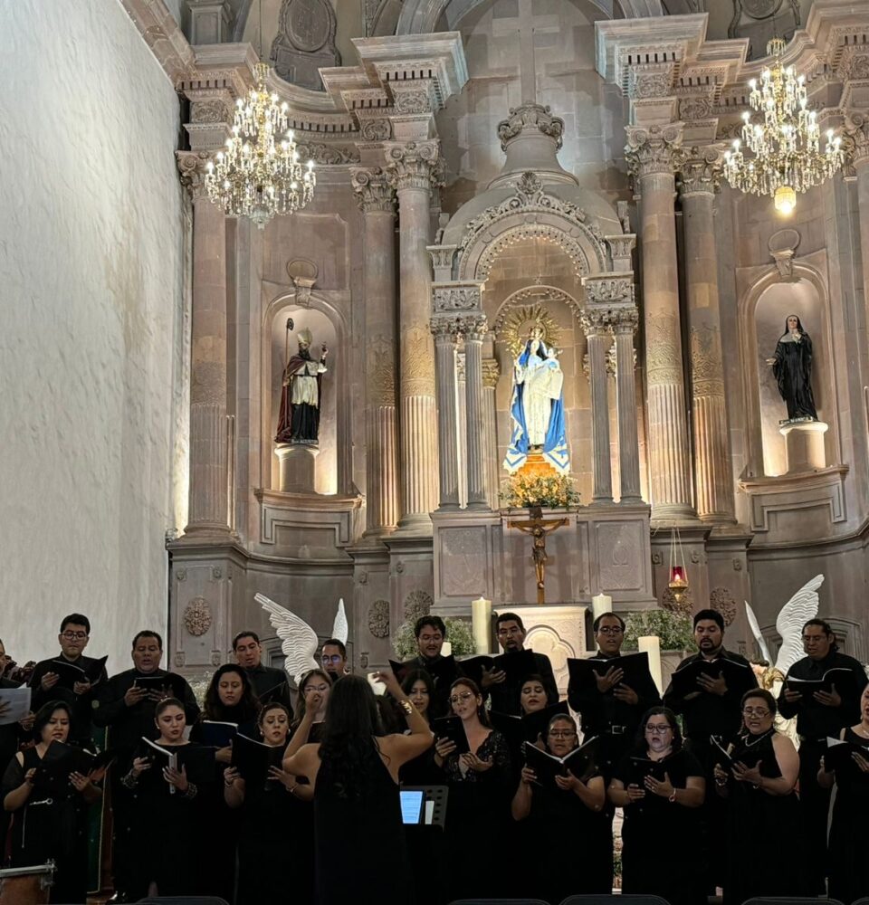 71 273 46044 1666240399 IMG