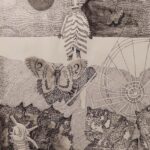 71 273 46220 711162416 IMG