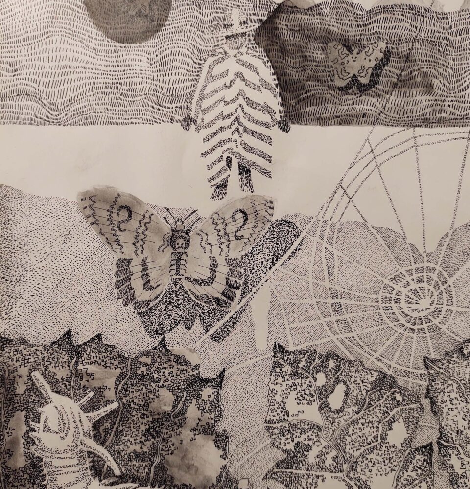 71 273 46220 711162416 IMG