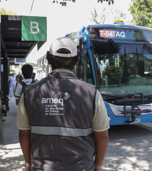 71 273 46224 1953700071 AMEQ (6)