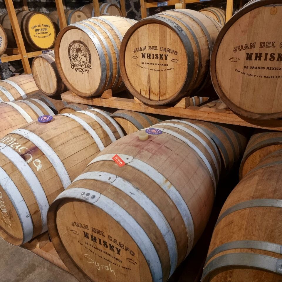 71 273 46281 1302031989 BARBARO ASADOR