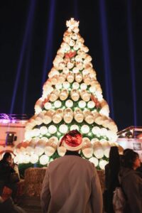 IMG-20241215-WA0073