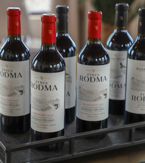 71 273 46804 1463757309 Ribera duero