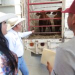 71 273 46954 1618360225 F4678EED 2DF8 4C81 A458 E7F5F506000D