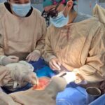 71 273 46974 1226610990 IMG