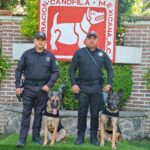 71 273 47323 1268121956 IMG