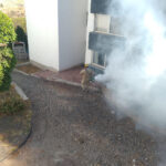 71 273 47324 1238986671 IMG