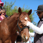 71 273 47335 1083691662 180324 cabalgando cadereyta 02