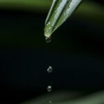 Unnamed (7)