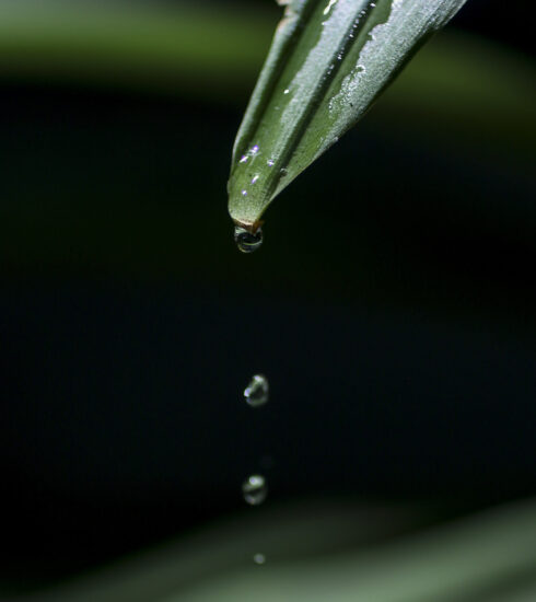 Unnamed (7)