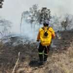 71 273 47479 1172145262 cepcq incendio amealco 16