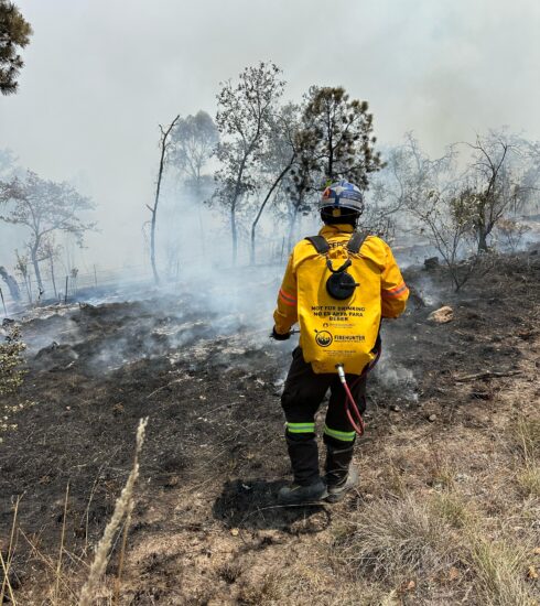 71 273 47479 1172145262 cepcq incendio amealco 16