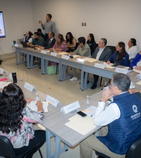 71 273 47653 1962180453 8 1504 SESA CONSEJO