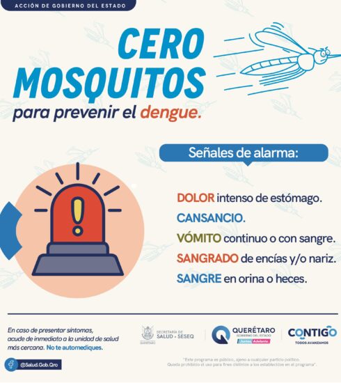 71 273 47777 643336655 1 0305 SESA DENGUE