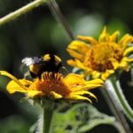 71 273 47965 1921643595 IMG