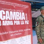 WhatsApp Image 2025 05 08 at 1.52.07 PM (2)