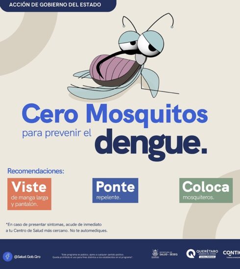 MASTER DENGUE 2025 MOSQUITO