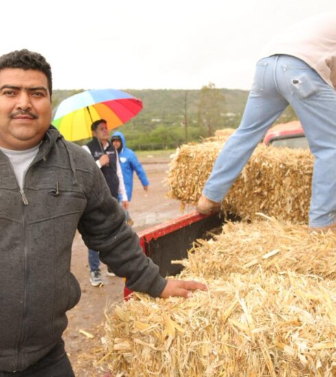 71 273 48297 1983204305 sedea forraje colon toliman 21 06 2025 7