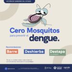 Master dengue 2025 mosquito