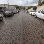 71 273 48544 1495260724 07 14 obras epigmenio gonzalez 02