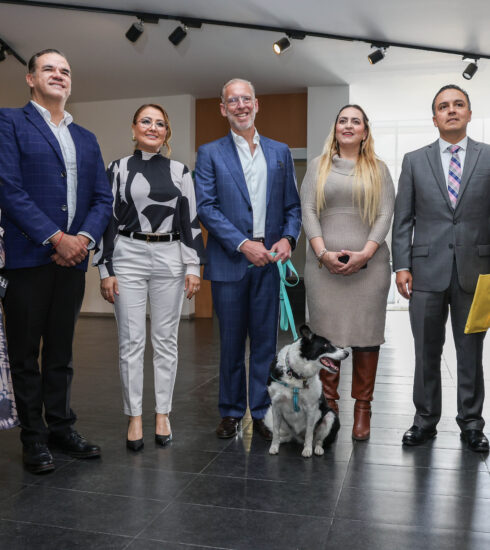 71 273 48549 979044477 cd2b3192 16ad 4887 8f4c add7922f8423