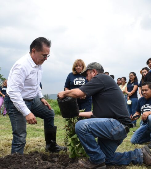 71 273 48583 1364133122 07 25 uteq6 reforestacio 769 n