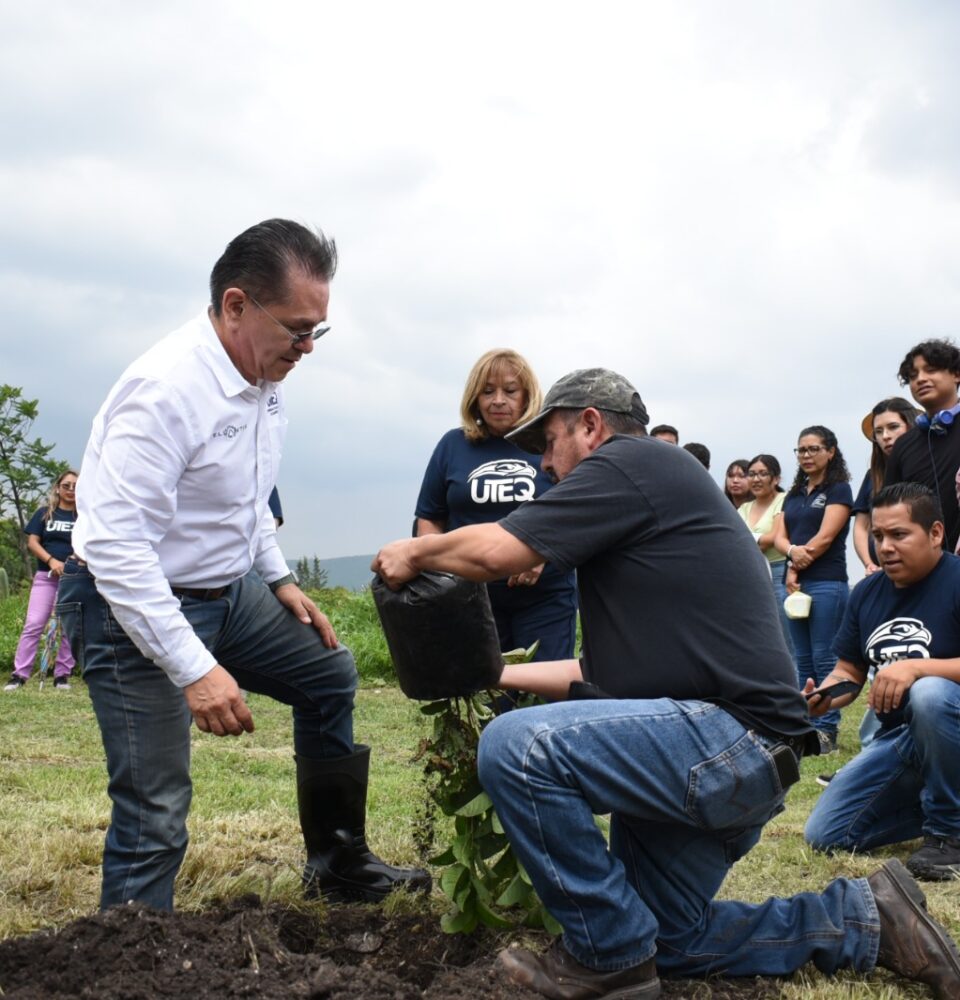 71 273 48583 1364133122 07 25 uteq6 reforestacio 769 n