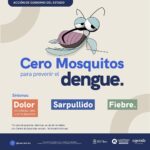Master dengue 2025 mosquito