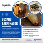 71 273 48606 852856229 img 1572