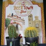 71 273 48618 54057805 beer cactu tx 1