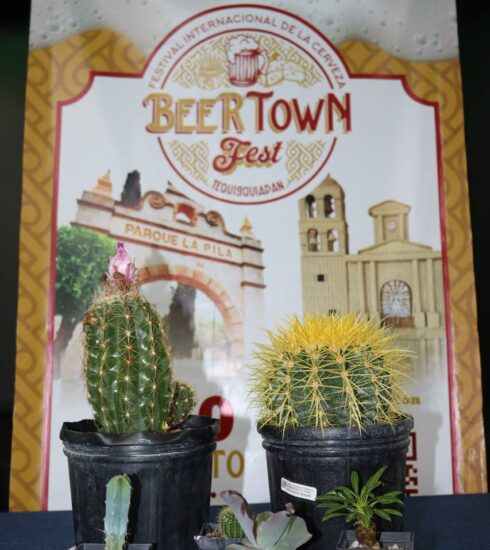 71 273 48618 54057805 beer cactu tx 1