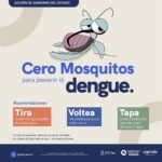 Master dengue 2025 mosquito