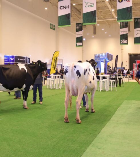 71 273 48659 2023077848 sedea fonaholstein 28 07 2025 9