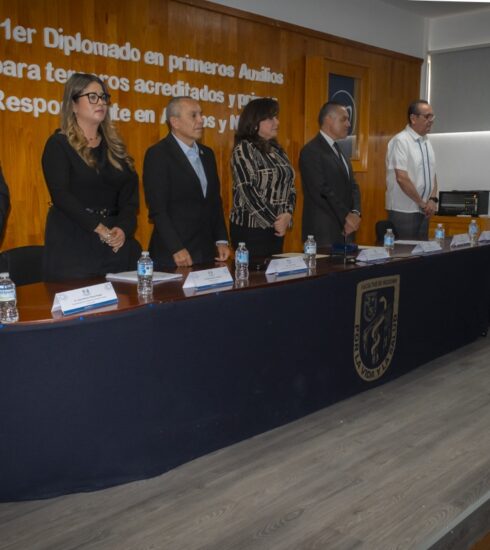 71 273 48668 741319003 10 2907 sesa diplomado