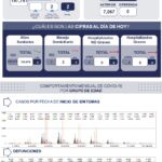 71 273 48862 972383630 1 1808 sesa metrica covid19