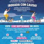 71 273 48891 960111406 img 1768