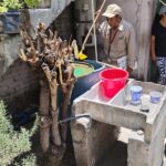 71 273 48957 1936868795 1 2708 sesa brigadas vectores