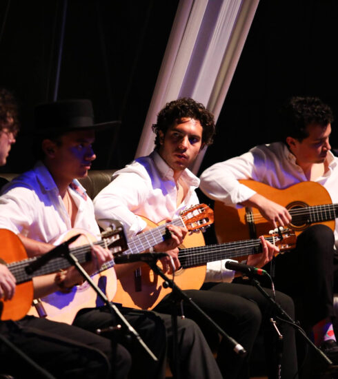 71 273 48976 942695596 290825 flamenco con causa 13