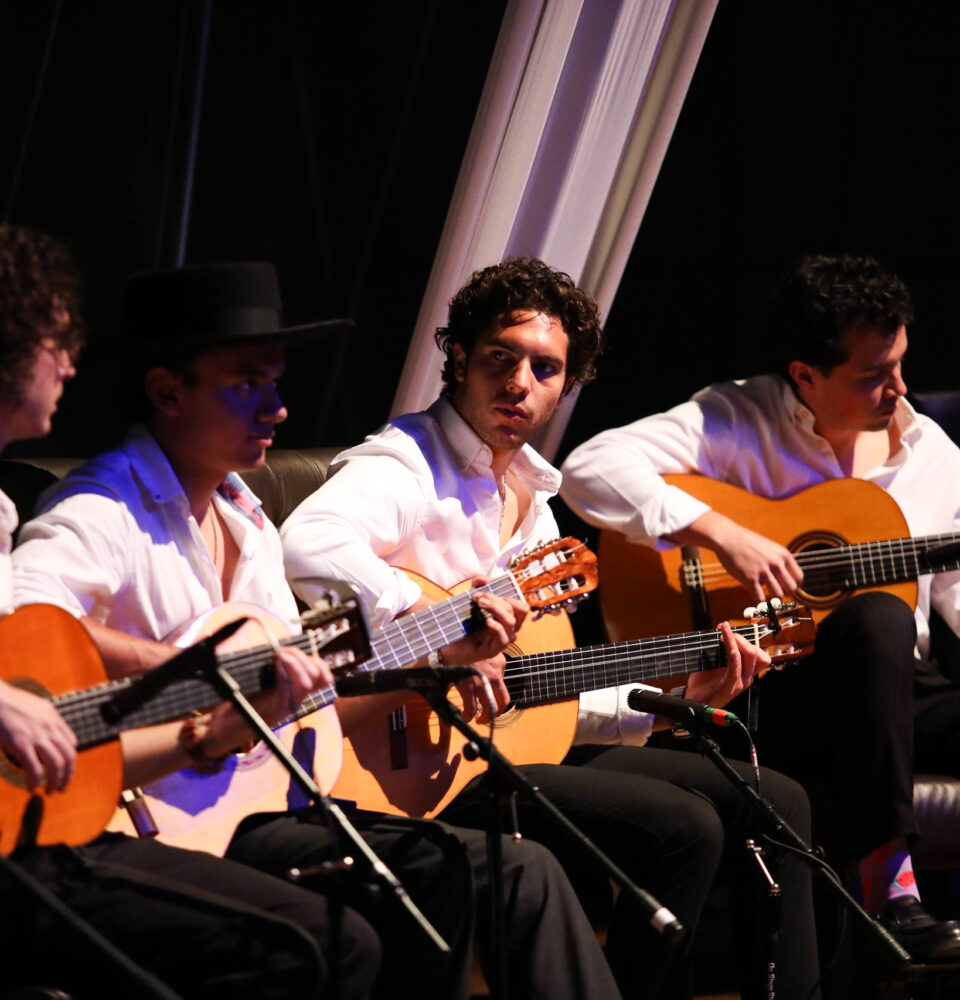 71 273 48976 942695596 290825 flamenco con causa 13