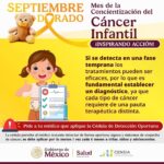 71 273 49002 1103156843 img 1123