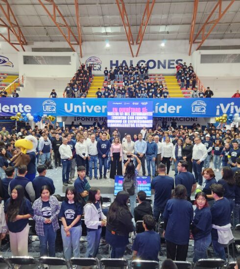 71 273 49063 374019533 img 1407