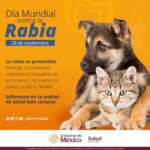 71 273 49291 298749881 img 2066