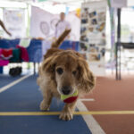 71 273 49294 1219212315 290925 croqueton escolar utsjr vs 388