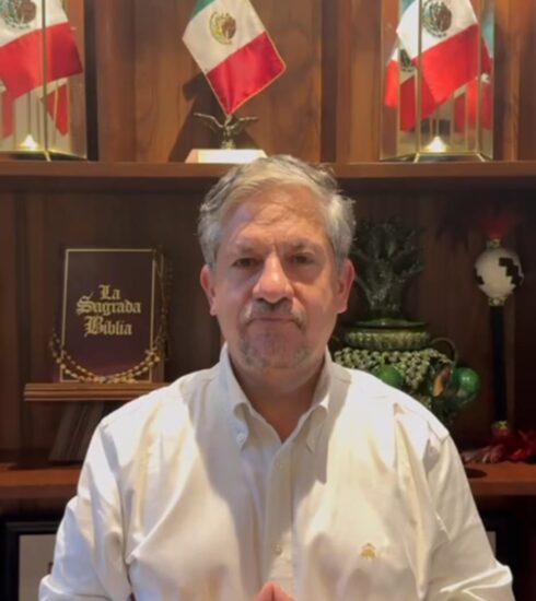 Whatsapp image 2025 09 17 at 7.00.50 pm