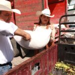 71 273 49341 903789632 60a52b8c caf7 494b bbd3 a4a9d3ed6af0