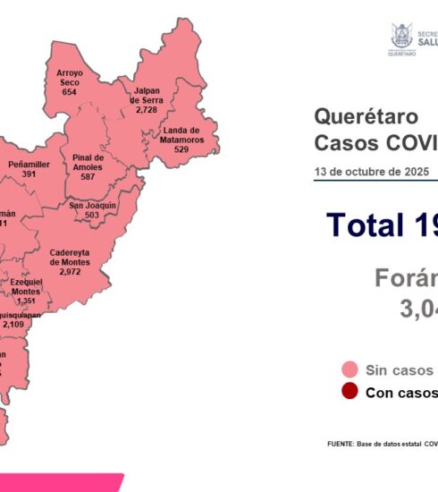 71 273 49441 1075533683 2 1310 sesa mapa covid19
