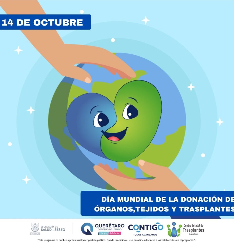 71 273 49457 765453512 1 1410 sesa dia mundial
