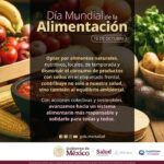 71 273 49472 2048123929 1 1610 sesa alimentacion